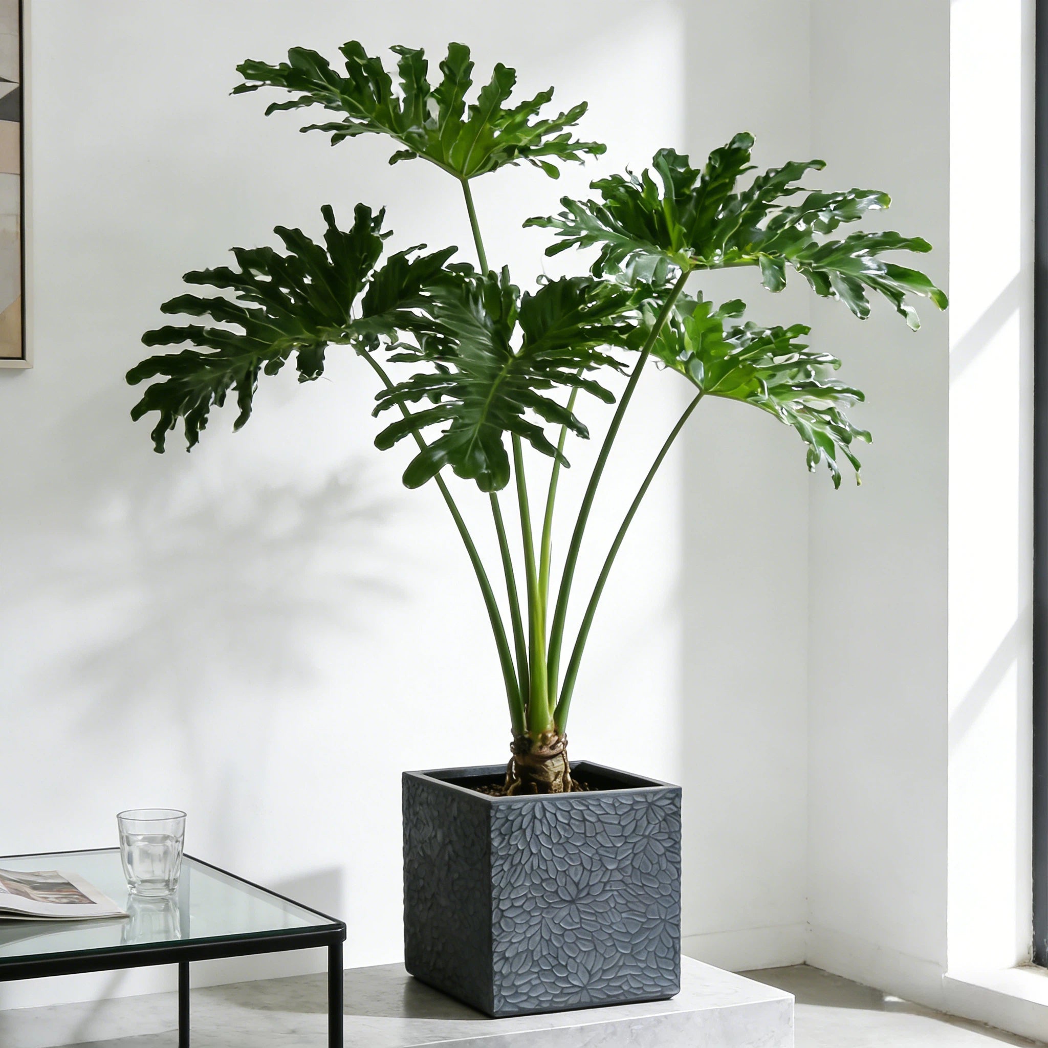 Large Outdoor Indoor Magnesium Oxide Planter Set of 4