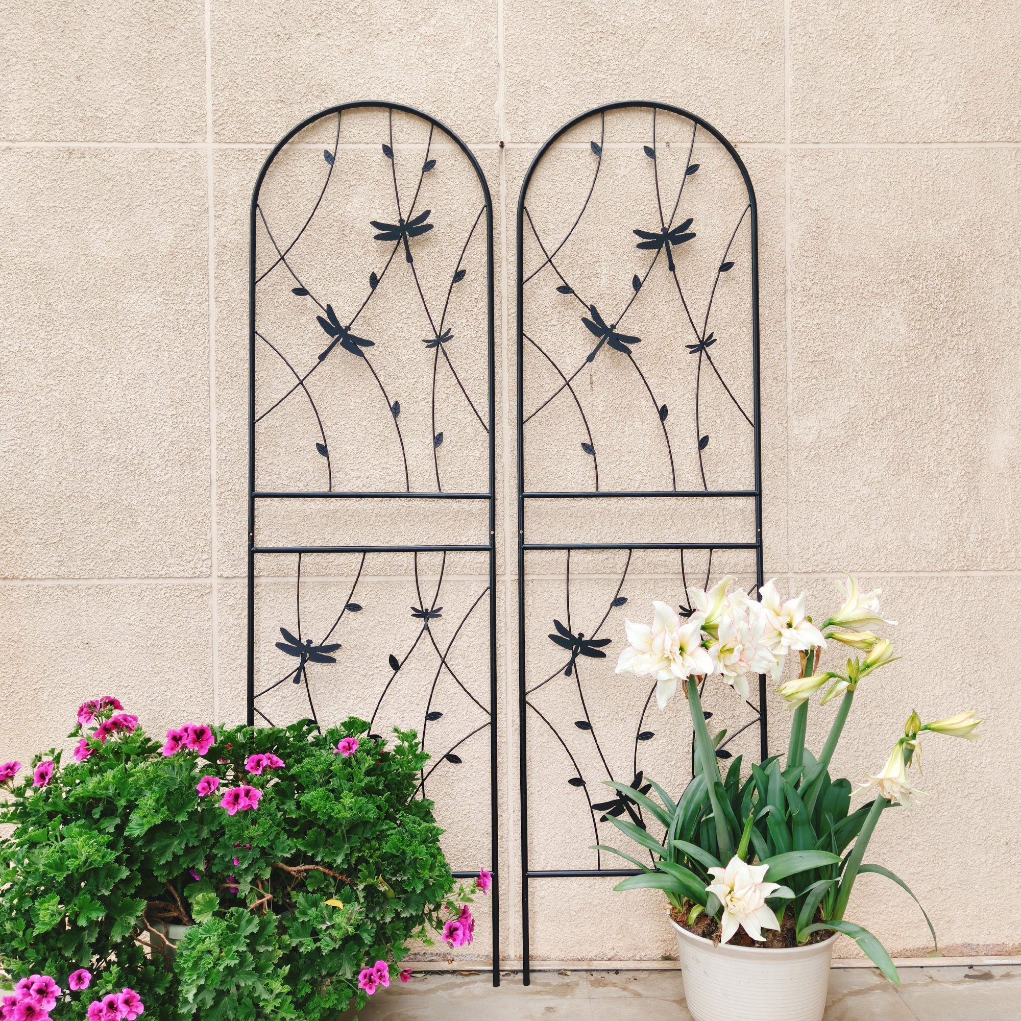 2 Pack Metal Garden Trellis 71" x 19.7" Rustproof Trellis for Climbing Plants
