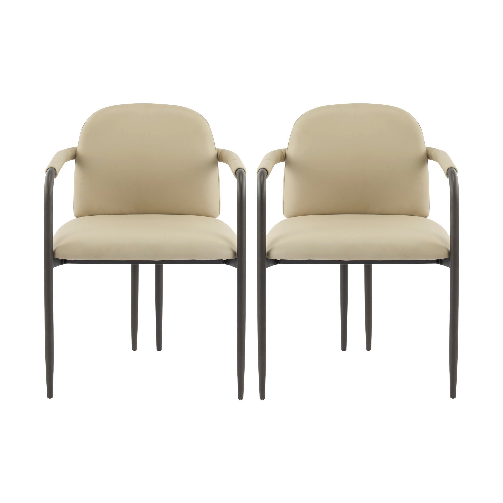 Modern Dining Chair Set of 2 with Iron Frame - Espresso / Khaki