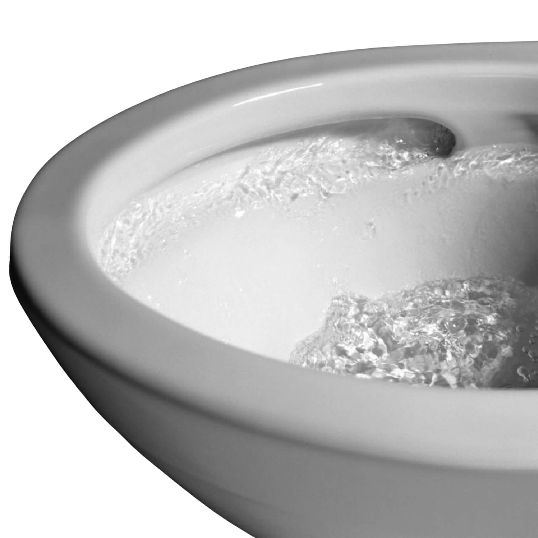 [MW4943084CEMFG#01] TOTO Connelly Washlet C5 With 1.28 GPF Ewater Elongated Bidet Toilet (SAK65923)